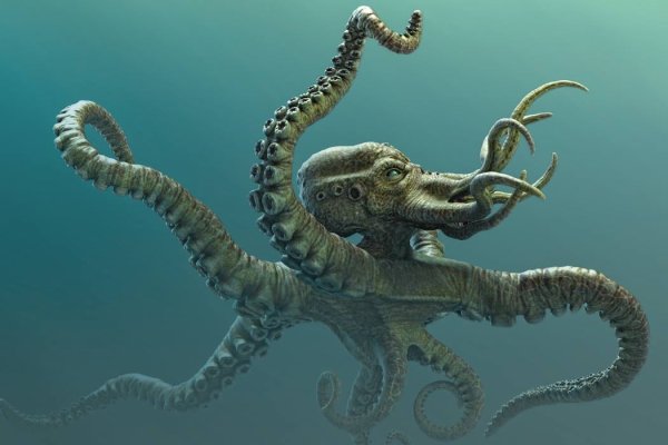 Kraken официальная ссылка tor